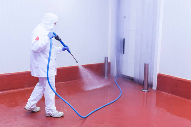 Best Sidewalk and Walkway Cleaning  in Parma, OH
